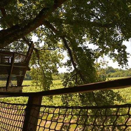 Cabanes De La Romaningue Pompignac Εξωτερικό φωτογραφία